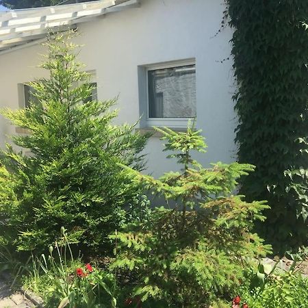Kleines Haeuschen Am Garten In Darmstadt Eksteriør bilde